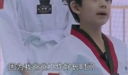 马蓉深夜爆料视频,婚姻真相与情感纠葛